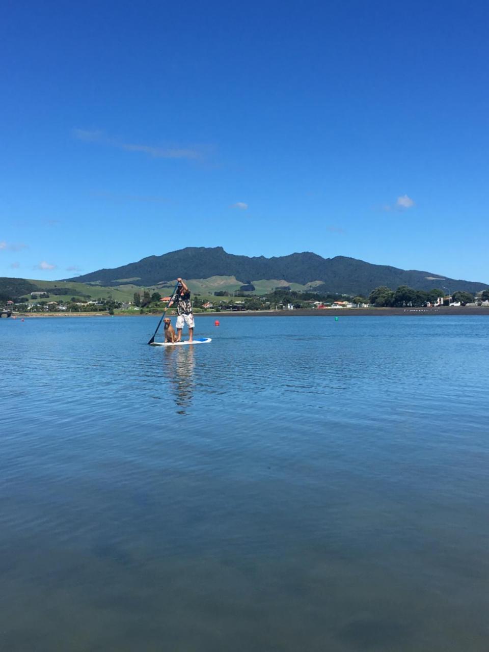 Хостел Raglan Backpackers Экстерьер фото